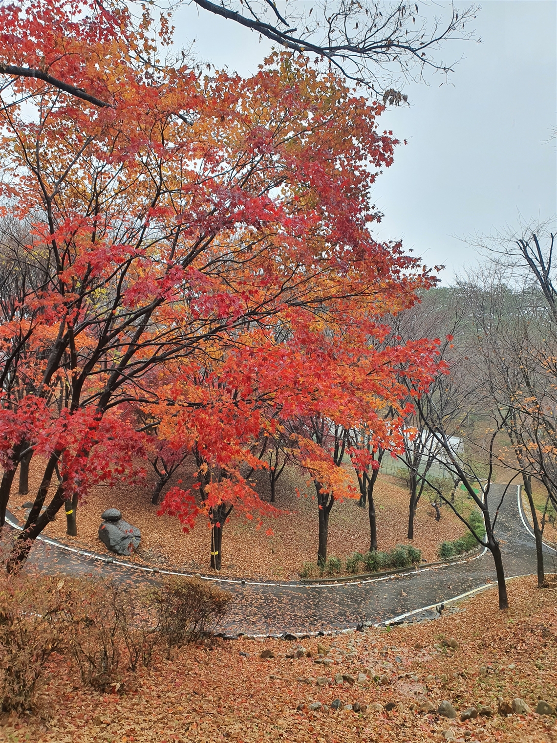 Wolmyeongdong