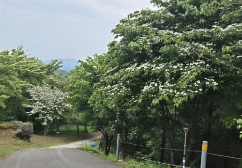 月明洞1