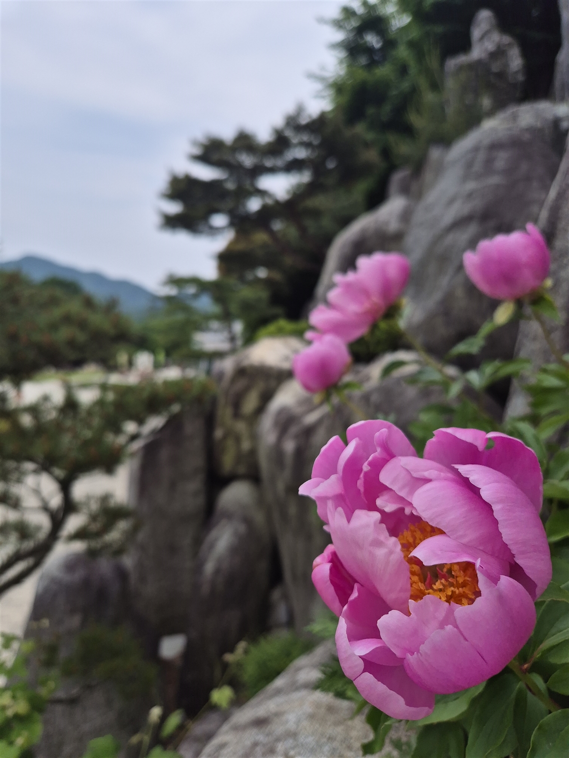 月明洞３